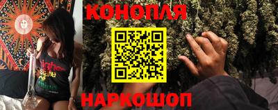 трава Сланцы