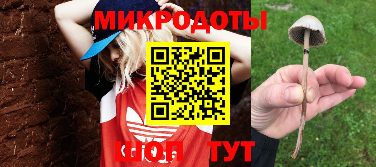 Галлюциногенные грибы GOLDEN TEACHER Якутск